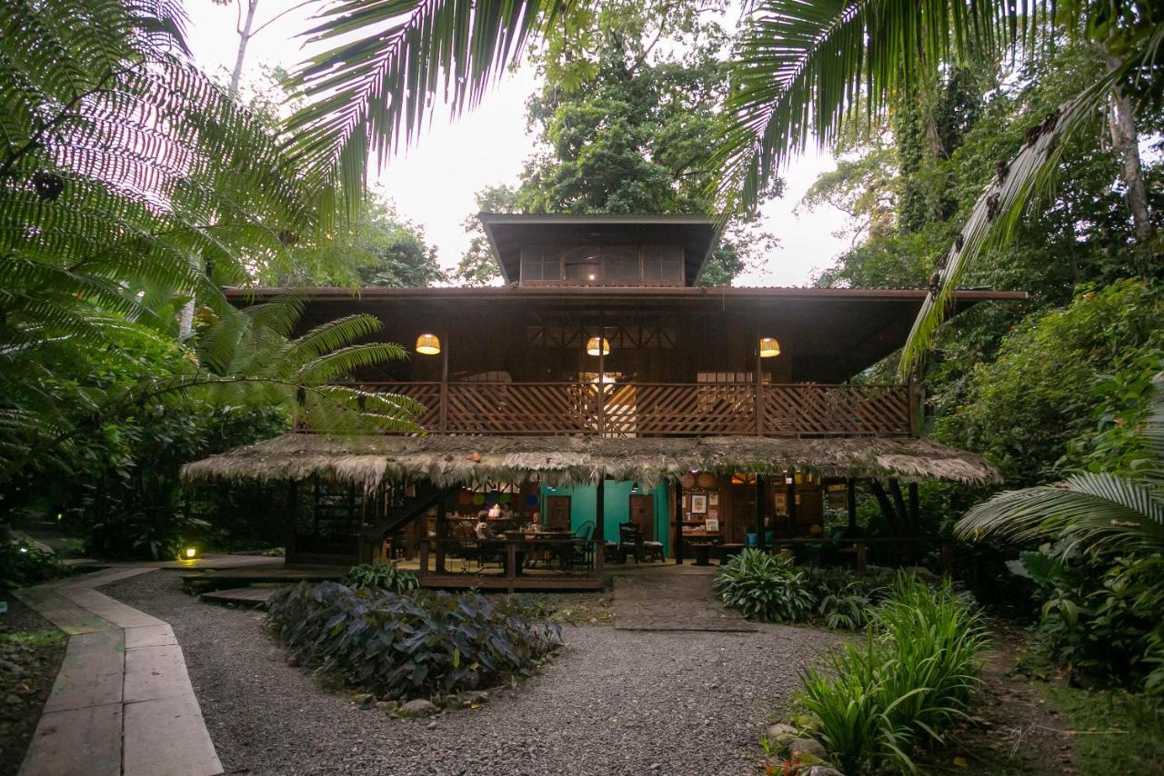 La Kukula Lodge Puerto Viejo de Talamanca Eksteriør billede