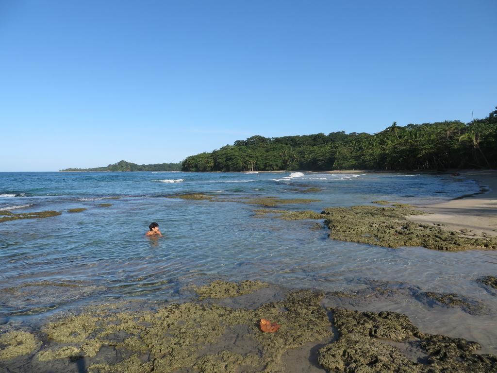 La Kukula Lodge Puerto Viejo de Talamanca Eksteriør billede