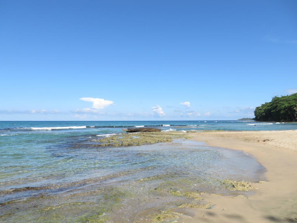 La Kukula Lodge Puerto Viejo de Talamanca Eksteriør billede