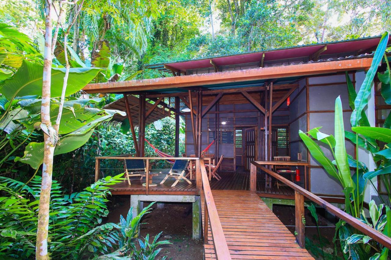 La Kukula Lodge Puerto Viejo de Talamanca Eksteriør billede
