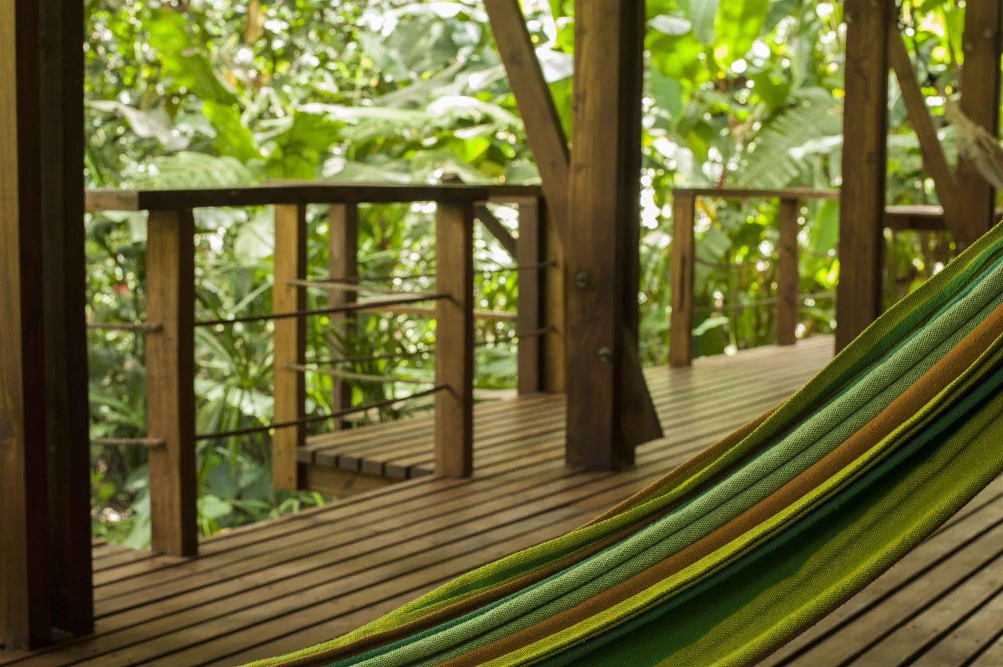 La Kukula Lodge Puerto Viejo de Talamanca Eksteriør billede