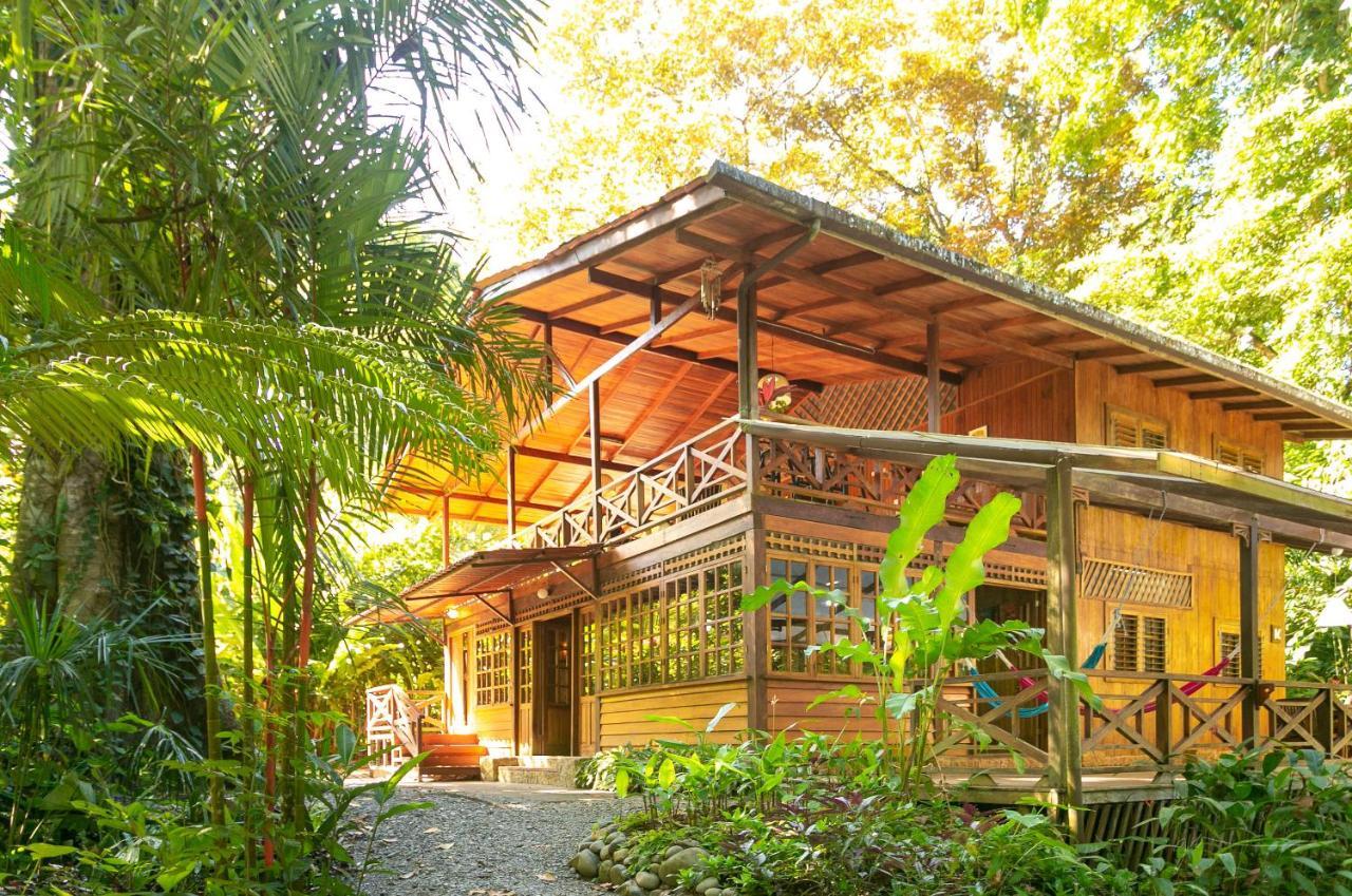 La Kukula Lodge Puerto Viejo de Talamanca Eksteriør billede